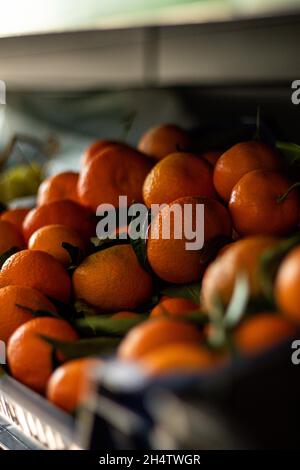 Petites mandarines fraîches sur le marché. Banque D'Images