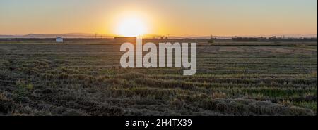 Coucher de soleil sur un champ de riz en jachère près de la ville de Valence.Concept d'agriculture Banque D'Images