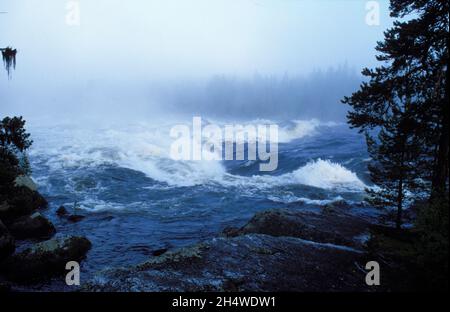 Grands fleuves suédois au printemps inondation, analogique.Grands rapides dans les rivières fin mai, début juin. Banque D'Images