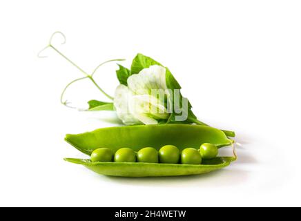 Pois verts frais dans la gousse avec fleur isolée sur blanc Banque D'Images