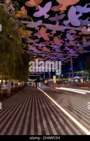 expo 2020 dans l'atmosphère de nuit à Dubaï, Émirats arabes Unis (eau), 28 octobre 2021.(CTK photo/Ondrej Zaroba) Banque D'Images