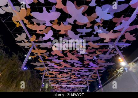 expo 2020 dans l'atmosphère de nuit à Dubaï, Émirats arabes Unis (eau), 28 octobre 2021.(CTK photo/Ondrej Zaroba) Banque D'Images