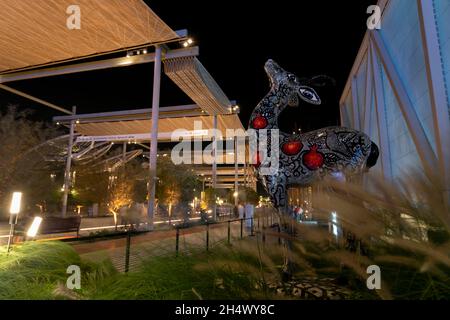 expo 2020 dans l'atmosphère de nuit à Dubaï, Émirats arabes Unis (eau), 28 octobre 2021.(CTK photo/Ondrej Zaroba) Banque D'Images