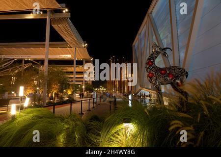 expo 2020 dans l'atmosphère de nuit à Dubaï, Émirats arabes Unis (eau), 28 octobre 2021.(CTK photo/Ondrej Zaroba) Banque D'Images