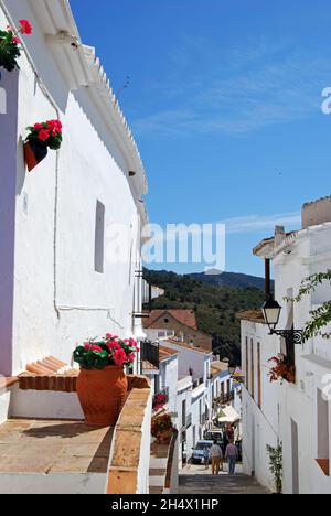 Vue sur une rue traditionnelle du village, Frigiliana, Espagne. Banque D'Images