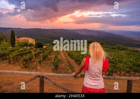 Femme regardant les rangées de raisins en terrasse au coucher du soleil de la ville toscane de Montalcino en Italie.Champs toscans dans les vignobles italiens et les vins célèbres Banque D'Images