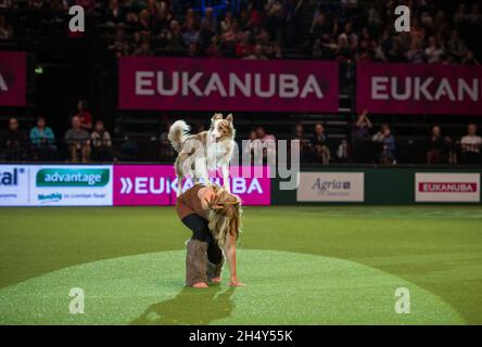 Heelwork à la compétition musicale le deuxième jour du spectacle de chiens Crufts au NEC le 11 2016 mars à Birmingham, au Royaume-Uni. Banque D'Images