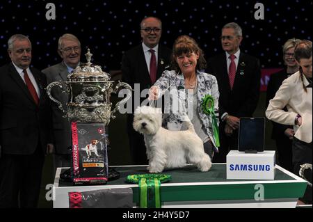 West Highland Terrier reçoit le prix du chien de l'année le dernier jour du spectacle de chiens Crufts au NEC le 13 2016 mars à Birmingham, au Royaume-Uni. Banque D'Images