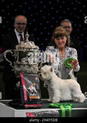 West Highland Terrier reçoit le prix du chien de l'année le dernier jour du spectacle de chiens Crufts au NEC le 13 2016 mars à Birmingham, au Royaume-Uni. Banque D'Images