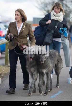 Les chiens et leurs propriétaires arrivent pour la première journée du spectacle de chiens Crufts 2017 au NEC à Birmingham, Royaume-Uni.Date de la photo: Jeudi 09 mars 2017.Crédit photo : Katja Ogrin/ EMPICS Entertainment. Banque D'Images