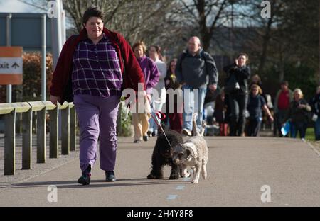 Les chiens et leurs propriétaires arrivent pour la première journée du spectacle de chiens Crufts 2017 au NEC à Birmingham, Royaume-Uni.Date de la photo: Jeudi 09 mars 2017.Crédit photo : Katja Ogrin/ EMPICS Entertainment. Banque D'Images