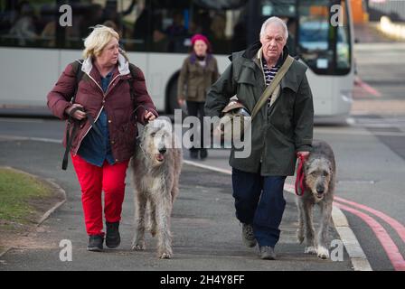 Les chiens et leurs propriétaires arrivent pour la première journée du spectacle de chiens Crufts 2017 au NEC à Birmingham, Royaume-Uni.Date de la photo: Jeudi 09 mars 2017.Crédit photo : Katja Ogrin/ EMPICS Entertainment. Banque D'Images