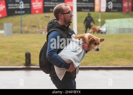 Les chiens et leurs propriétaires arrivant le premier jour du spectacle de chiens Crufts au NEC à Birmingham, Royaume-Uni.Date de la photo: Jeudi 08 mars 2018.Crédit photo : Katja Ogrin/ EMPICS Entertainment. Banque D'Images