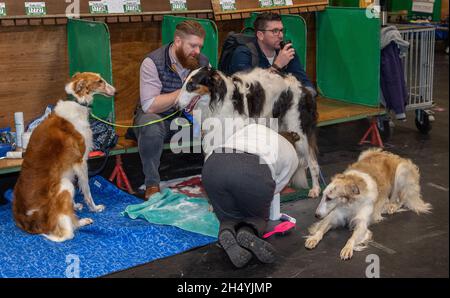 Borzois le quatrième jour du spectacle de chiens Crufts au National Exhibition Centre (NEC) le 08 mars 2020 à Birmingham, Royaume-Uni.Date de la photo: Dimanche 08 mars 2020.Crédit photo : Katja Ogrin/EMPICS Entertainment. Banque D'Images