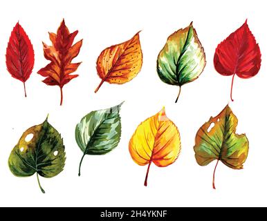 Motif aquarelle à dessin à la main et feuilles colorées Illustration de Vecteur