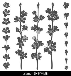 Ensemble d'images en noir et blanc avec branches de printemps en fleur.Objets vectoriels isolés sur fond blanc. Illustration de Vecteur