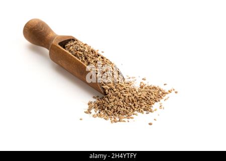 Graines d'épices anis dans une cuillère en bois isolée sur fond blanc.Copier l'espace Banque D'Images