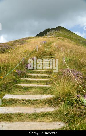 FRANCE, CANTAL (15), PARC NATUREL RÉGIONAL VOLCANS D'AUVERGNE, LAVIGERIE, GR4 ET PUY MARY Banque D'Images