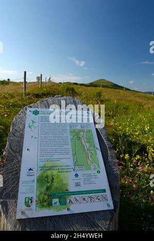 FRANCE, HAUT-RHIN (68), PARC NATUREL RÉGIONAL DES BALLONS DES VOSGES, RÉSERVE NATURELLE RÉGIONALE DES HAUTES-CHAUMES DU ROTHENBACH Banque D'Images