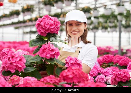 Portrait de la jeune femme souriante en casquette blanche et chemise parmi la belle hortensia rose dans la grande serre moderne.Concept de profiter de la beauté des fleurs lumineuses. Banque D'Images