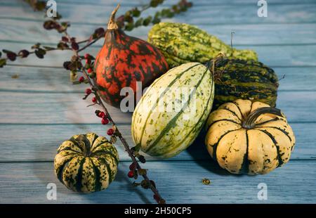 Belle composition d'automne de légumes colorés en temps de récolte .Citrouille, courgettes.Couleur, plein format. Banque D'Images