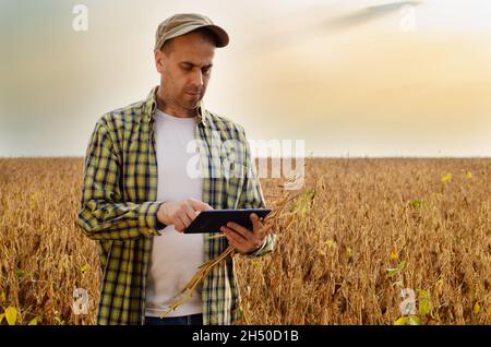 L'âge moyen du Caucase fermier utilise l'ordinateur tablette pour l'inspection au champ de soja Banque D'Images