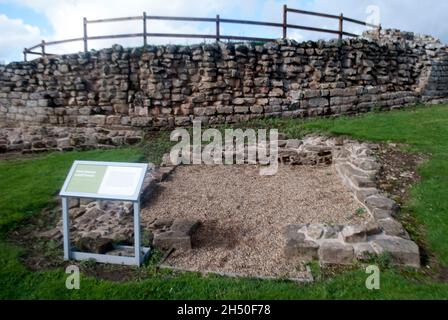 Petite maison post-romaine avec mur en arrière-plan au fort de Vindolanda et musée, Bardon Mill, Hexham, Northumberland, Angleterre,ROYAUME-UNI Banque D'Images