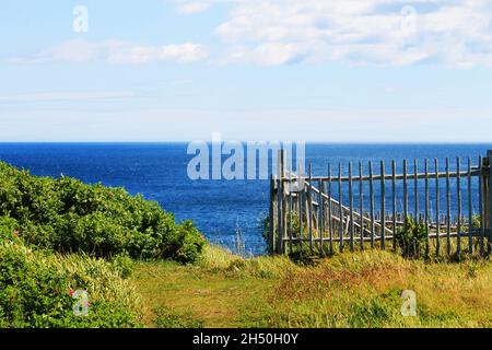 Un sentier porté dans l'herbe sur une colline, menant à la mer.Une clôture rustique en bois d'un côté, des buissons et des fleurs sauvages de l'autre. Banque D'Images