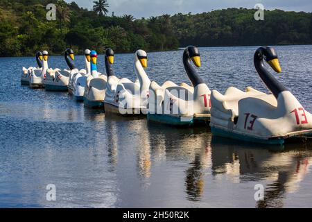 Salvador, Bahia, Brésil - 17 août 2014 : bateau en forme d'oie dans le parc Pituacu. Banque D'Images