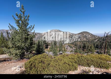 Telegraph Peak et Timber Mountain dans les montagnes San Gabriel près de Mt Baldy et Los Angeles, Californie. Banque D'Images