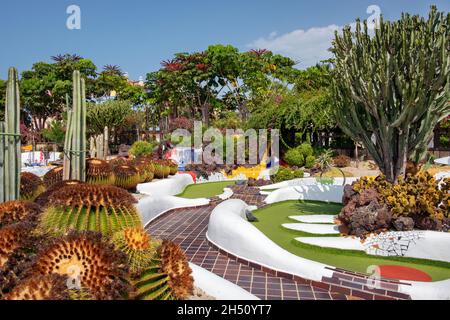 Spectaculaire jardin xeriscape vert, magnifique espace vert extérieur entourant un mini-golf, avec une grande variété de flore tropicale Banque D'Images