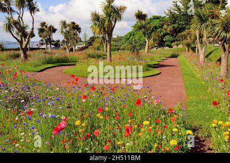 Expositions de fleurs sauvages dans les jardins d'Abbey Park, Torquay, South Devon. Banque D'Images