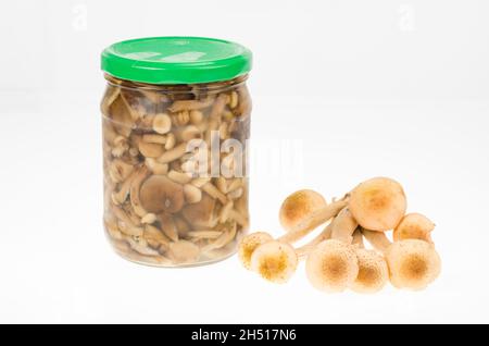 Champignons sauvages marinés dans un pot en verre.Préparations faites maison.Studio photo. Banque D'Images