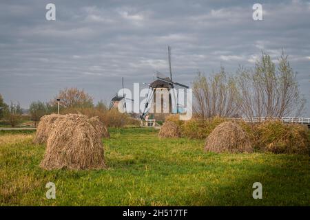 Anciens moulins à vent et piles de foin, Kinderdijk, pays-Bas Banque D'Images