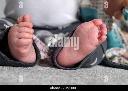 les pieds de bébé - les pieds d'un bébé de 7 mois Banque D'Images