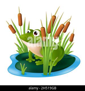 Une grenouille verte assise sur un coussin de nénuphars dans un étang avec des roseaux dans l'herbe du marais.Illustration vectorielle d'un personnage de dessin animé dans un arbuste de bulruse isolé Illustration de Vecteur