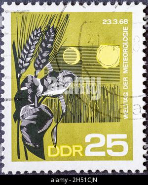 ALLEMAGNE, DDR - VERS 1968: Timbre-poste de l'Allemagne, RDA montrant un champ de céréales avec des épis de maïs.Texte : Journée mondiale de la météorologie Banque D'Images