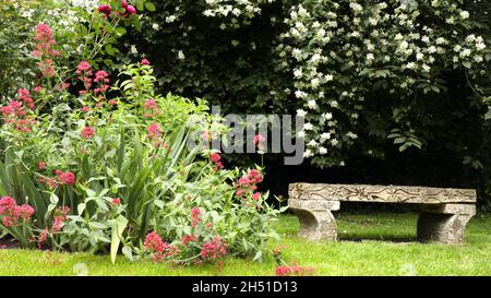 Banc de pierre ornemental sous le Bush de jasmin à fleurs blanches parfumées, dans un jardin isolé. Banque D'Images
