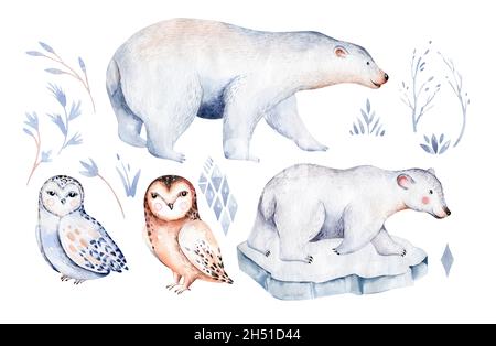 collections d'aquarelles d'animaux polaires. hibou des neiges. renne. ours polaire. renard. pingouin. lièvre d'amérique Banque D'Images