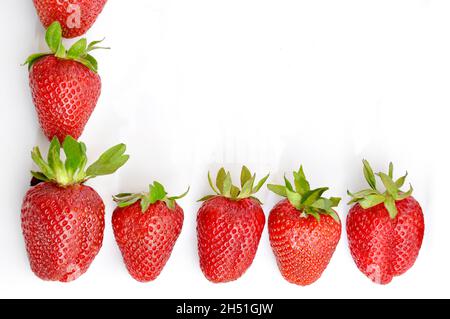 Les fraises les plus sucrées et les plus belles dans les baies rouges, isolées sur fond blanc Banque D'Images