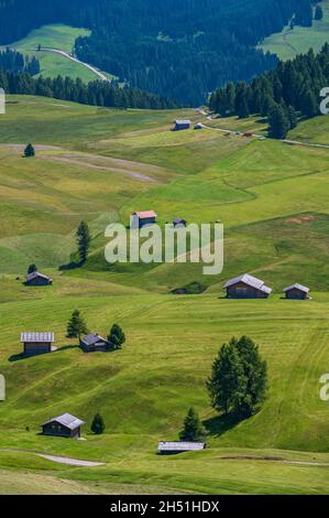Vue panoramique de l'Alm de Seiser avec prairies et cabane de montagne pendant la saison estivale Banque D'Images