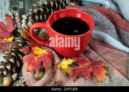 Café noir dans une tasse rouge avec feuilles d'érable d'automne, cônes de pin et acornes sur une couverture chaude. Banque D'Images