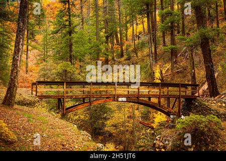 Pont en bois sur le Pacific Crest Trail., le pont traverse Squaw Valley Creek dans le comté de Siskiyou, Californie, États-Unis. Banque D'Images