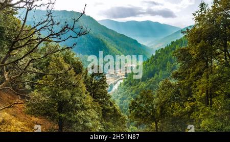 Forêt de montagne au Bhoutan, l'Himalaya au printemps, sur le chemin du monastère de montagne Cheri près de Thimphu.Vue sur la vallée de Thimphu depuis la montagne Banque D'Images