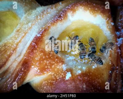 abeilles attirées par l'odeur douce des confessions d'une pâtisserie Banque D'Images