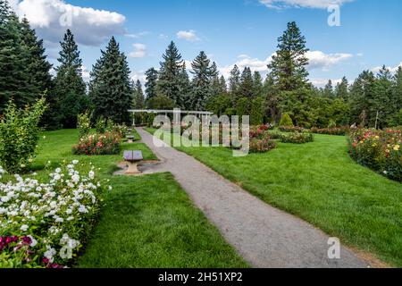 Jardin de roses au parc Manito Banque D'Images