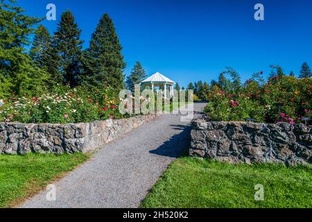 Rose Hill au parc Manito.Spokane, Washington. Banque D'Images