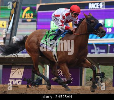 Del Mar, États-Unis.05ème novembre 2021.Corniche, monté par Mike Smith, remporte la course de la coupe des éleveurs pour mineurs aux championnats de la coupe des éleveurs sur le circuit de Del Mar en Californie.5 novembre 2021.Photo de Mark Abraham/UPI crédit: UPI/Alay Live News Banque D'Images