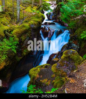 Avalanche Creek qui traverse Avalanche gorge dans McDonald Valley, parc national des Glaciers, Montana, États-Unis Banque D'Images