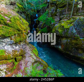 Avalanche Creek qui traverse Avalanche gorge dans McDonald Valley, parc national des Glaciers, Montana, États-Unis Banque D'Images